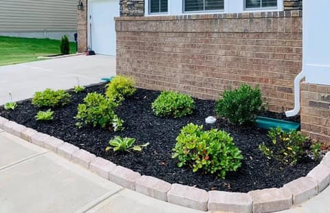 Freshly mulched bed with new plantings behind a paver border