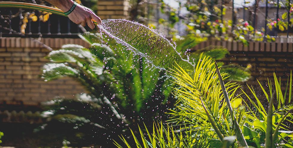Best Irrigation Service in Huntersville, NC