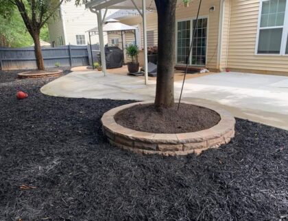 27080B87 9D6A 41E2 81A1 FCB217D90694