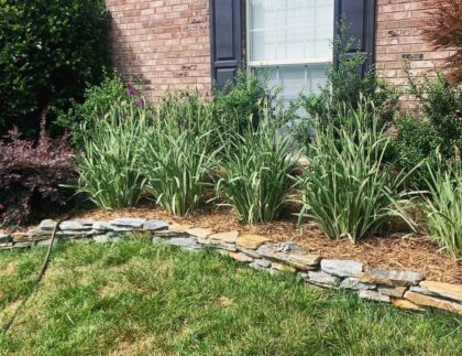 2AE6E779 1258 48D3 B0DF 36906DC487A7