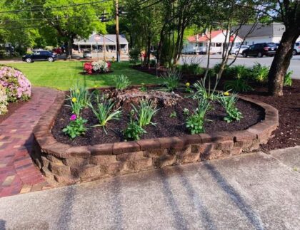 388B1090 94AB 408E 9EAF CDF076368E3B