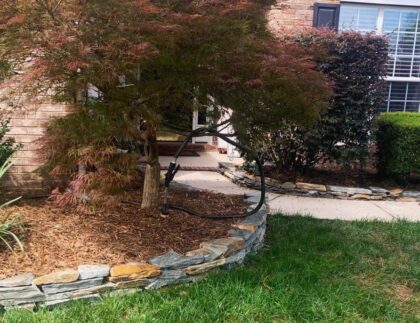 A2FE3664 DECE 49F2 AD6F EF7B22C68CBE