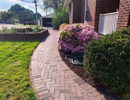 E71AD5C2 1CB5 4A14 800F B2B250488EAB