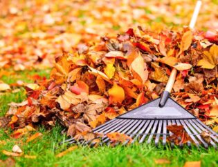 fall yard cleanup important for lawn garden getty 0923 a52f9e8c61134458b40f5ffef72d3e2b