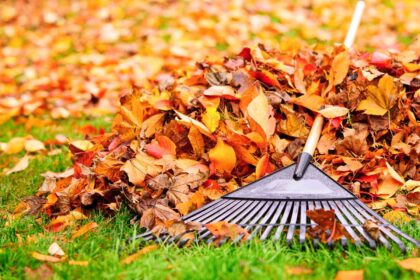 fall yard cleanup important for lawn garden getty 0923 a52f9e8c61134458b40f5ffef72d3e2b
