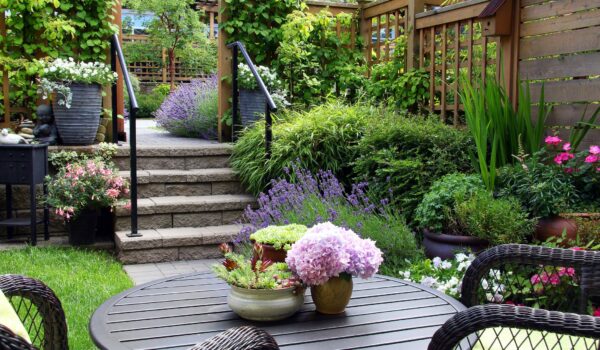 small garden royalty free image 584877834 1550500954