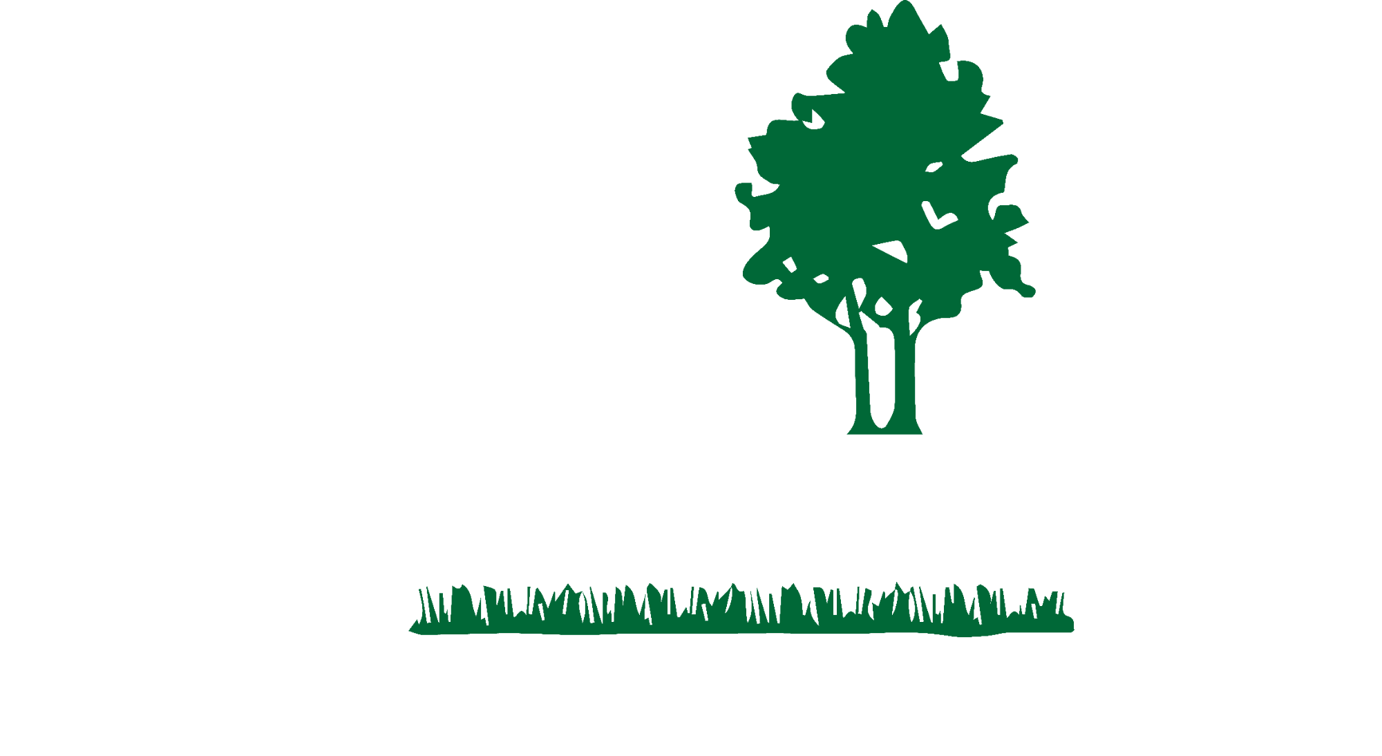 Lake Norman Lawn Services